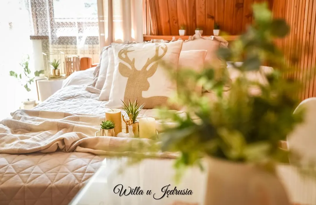 Willa u Jędrusia Zakopane-1